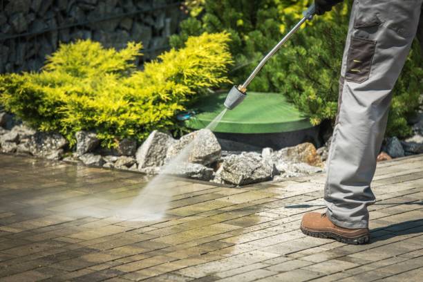 Best Gutter Cleaning  in Albion, PA
